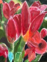 Les tulipes 22x27