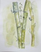 Gilles MATHE-Bambou-Aquarelle-24X30