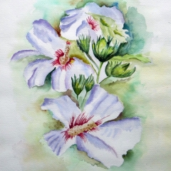 02.Fleurs-Aquarelles-31x31