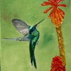 Colibri 40x60