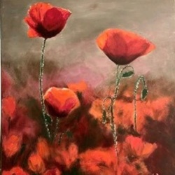 Coquelicots 45x55